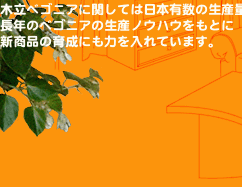 ベゴニアの生産を始めて30年を超えました。　木立ベゴニアに関しては日本有数の生産量を誇ります。長年のベゴニアの生産ノウハウを元に新商品の育成にも力をいれベゴニアが暮らしの中に溶け込むようなライフスタイルの提案にも努めています。